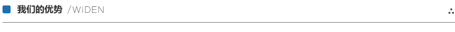 我們的優(yōu)勢(shì) 我們的優(yōu)勢(shì)