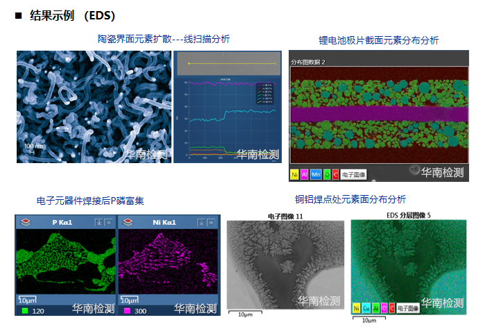 SEM-EDS分析 SEM-EDS分析