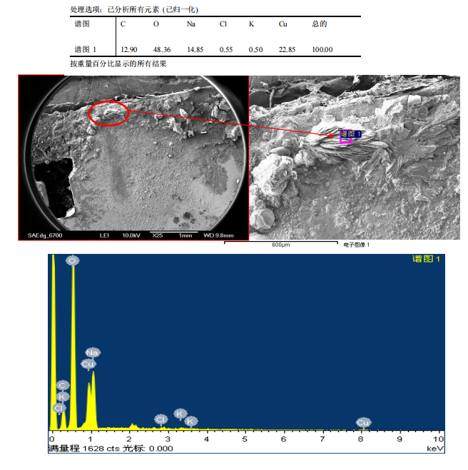 華南檢測|SEM EDS成分分析|13926867016