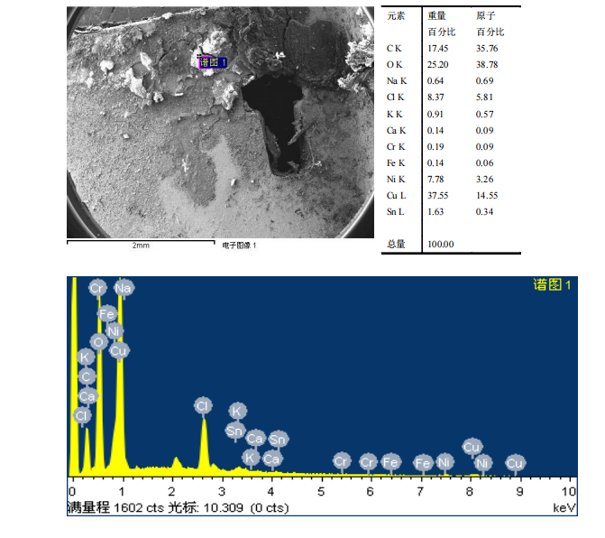 華南檢測|掃描電鏡檢測|EDS能譜檢測