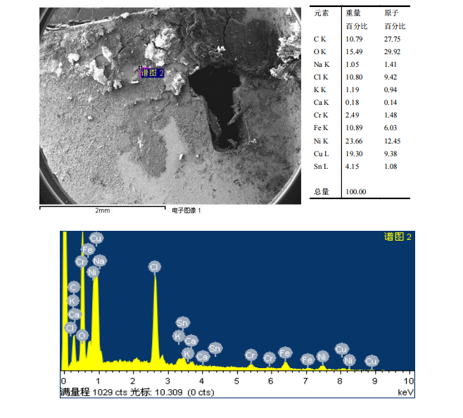 華南檢測|掃描電鏡檢測|EDS能譜檢測