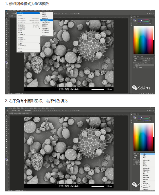 掃描電鏡 掃描電鏡