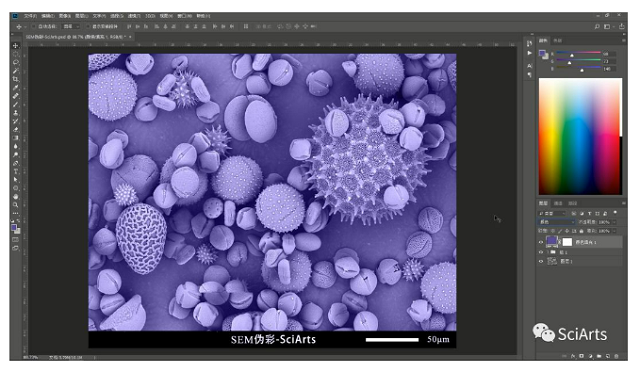 掃描電鏡 掃描電鏡