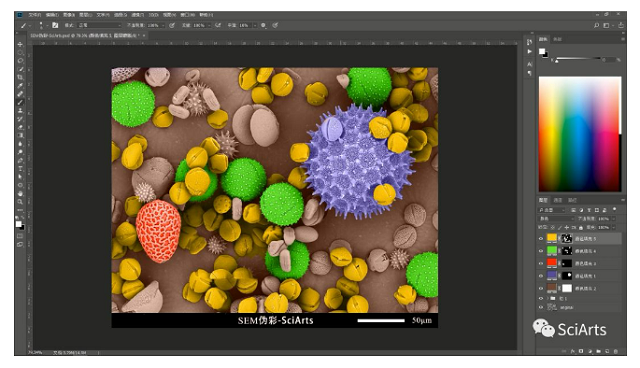 掃描電鏡 掃描電鏡