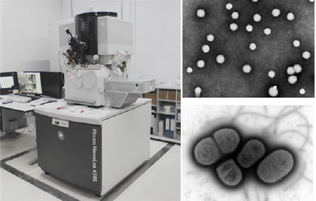 1656570692913119.png 5.23 1.png