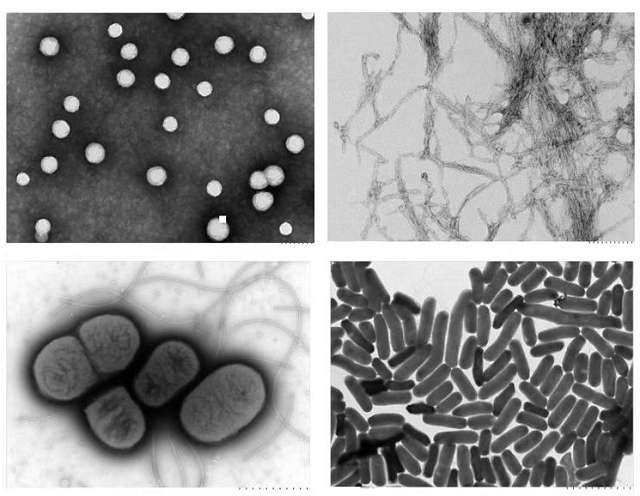 1656572464633013.png 5.23 5.png