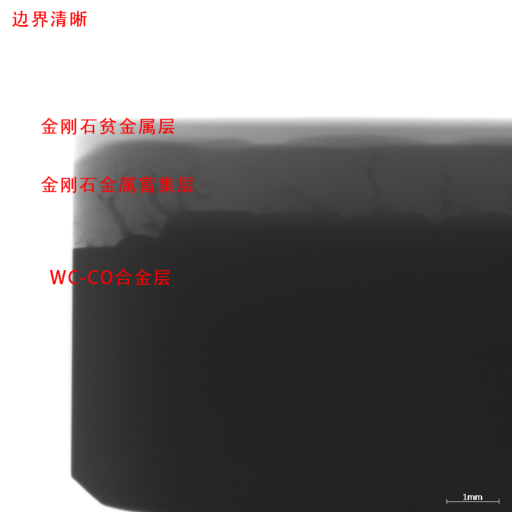 1658454963936864.jpg 1658454963936864.jpg