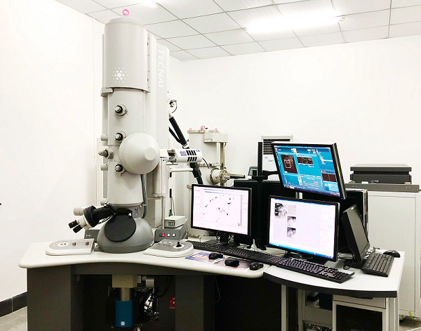 場發(fā)射掃描電鏡