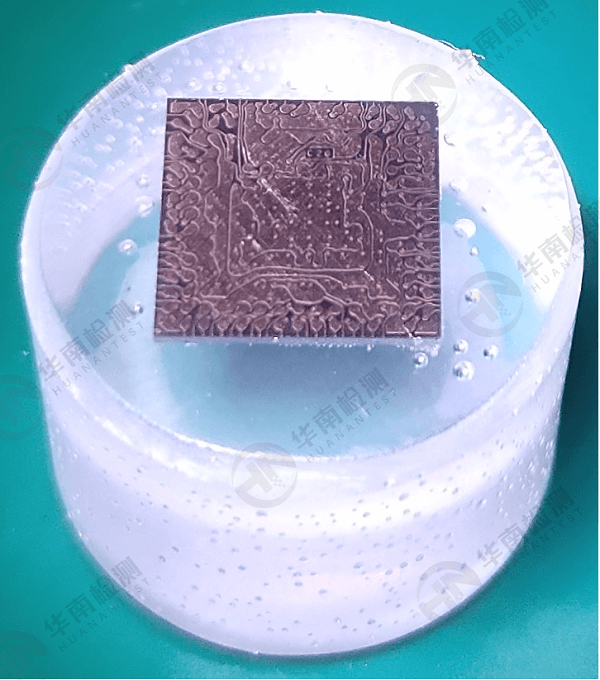 華南檢測實驗室 | 切片分析流程及應用