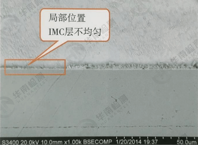 華南檢測實驗室 | 切片分析流程及應用