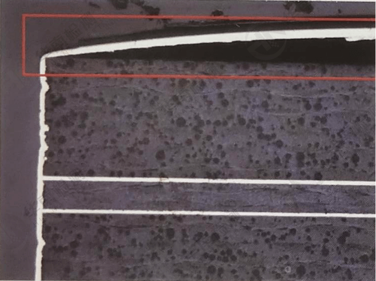 華南檢測實驗室 | 切片分析流程及應用