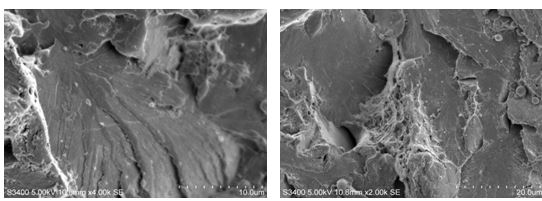 第三方電鏡(SEM/TEM)檢測機構