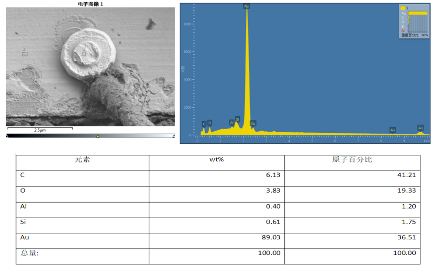 EDS點分析 EDS點分析