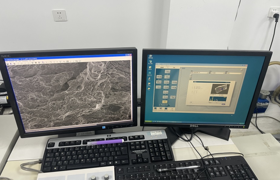 SEM-EDS技術 SEM-EDS技術