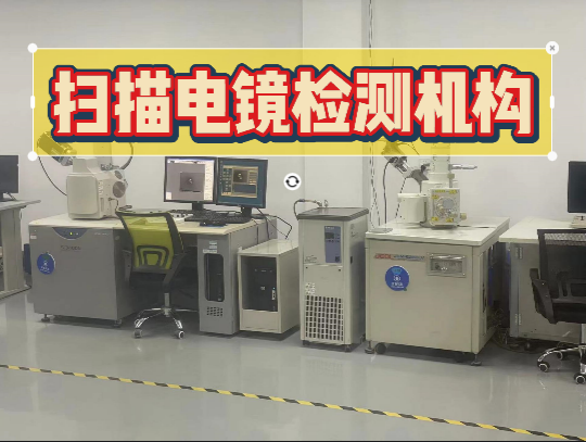 掃描電鏡檢測機構