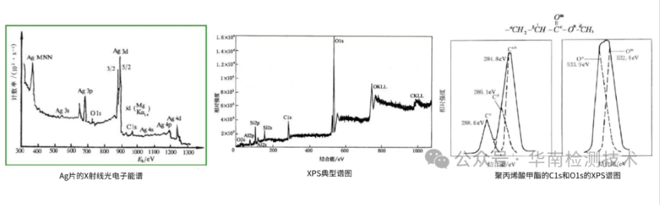 顯微結(jié)構(gòu)分析