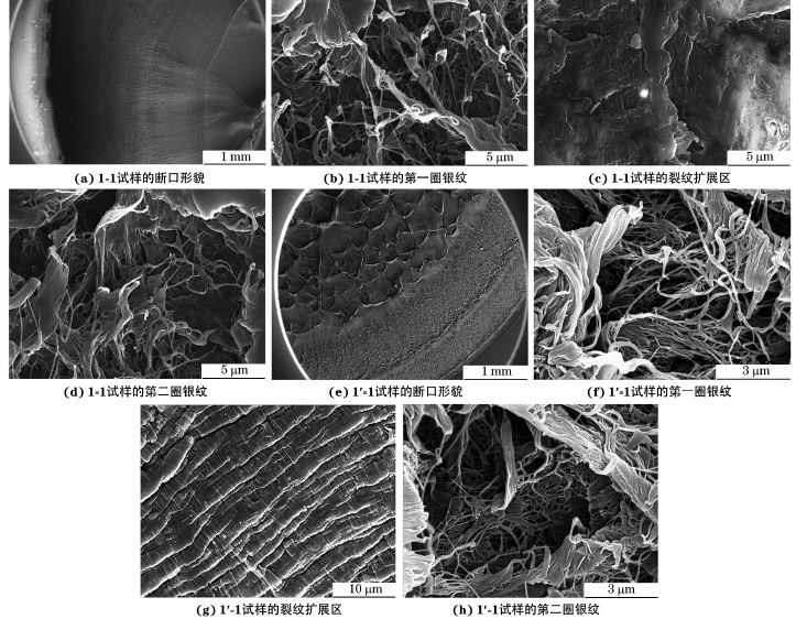 金屬材料及零部件失效分析 金屬材料及零部件失效分析