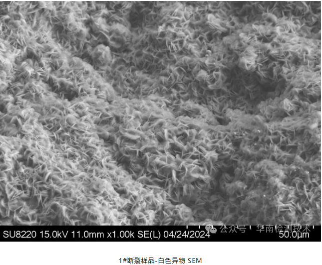 蓄電池負(fù)極斷裂失效分析 蓄電池負(fù)極斷裂失效分析