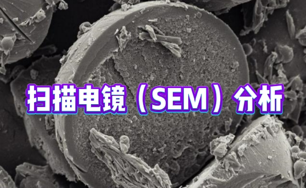 掃描電鏡(SEM)分析 掃描電鏡(SEM)分析