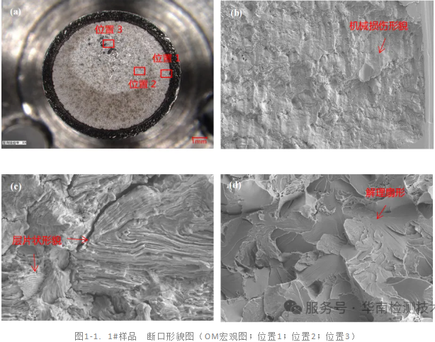電機(jī)軸斷裂失效分析