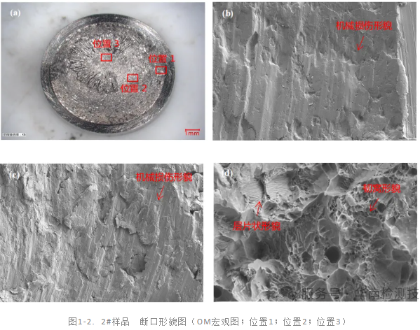 電機(jī)軸斷裂失效分析