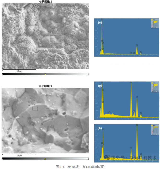 斷裂分析公司 斷裂分析公司