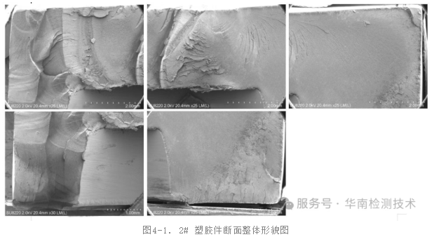 SEM(掃描電子顯微鏡)觀察 SEM(掃描電子顯微鏡)觀察