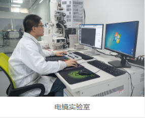 內部顯微分析 內部顯微分析