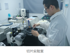 截面切片分析 截面切片分析