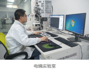 SEM/EDS分析 SEM/EDS分析