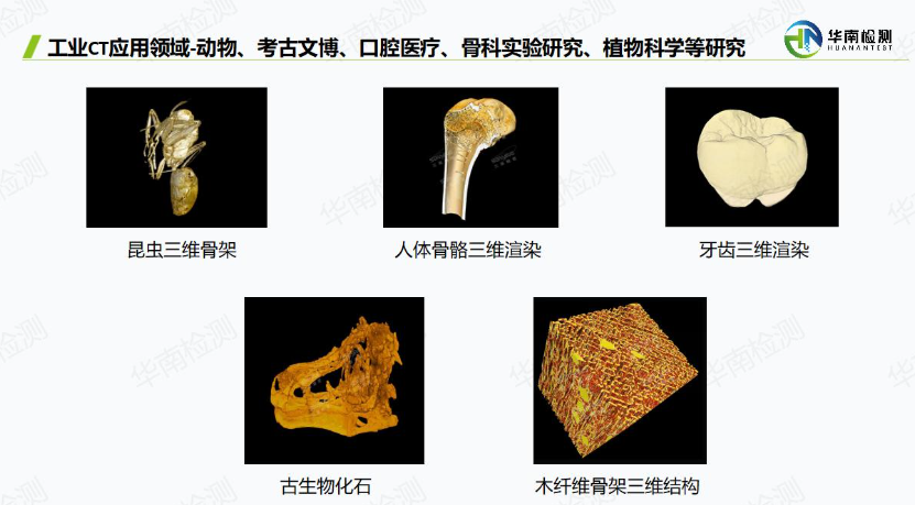 工業CT掃描科研教育領域 工業CT掃描科研教育領域