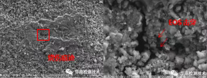 電容失效分析SEM微觀分析 電容失效分析SEM微觀分析